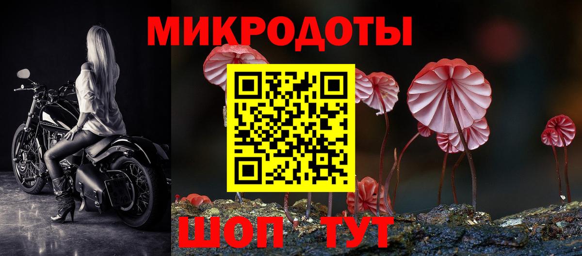 Красногорск  Галлюциногенные грибы Cubensis  Галлюциногенные грибы ЛСД  Вход с VPN 
